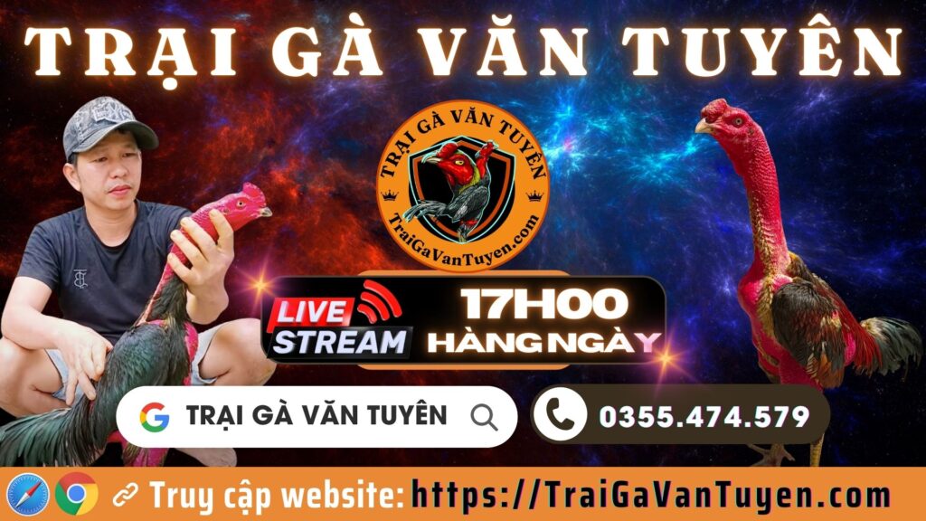 Video 19h40 ngày 17/9 – Trại Gà Văn Tuyên